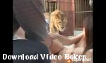 Vidio xxx berhubungan seks di sarang singa Terbaru - Download Video Bokep