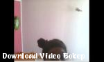 Bokep xxx masturbasi omegle Gratis - Download Video Bokep