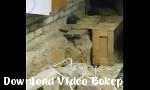 Download video bokep Kamar Di Bawah He hot