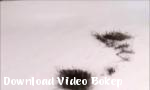 Video bokep In  Shaving C2 terbaru - Download Video Bokep
