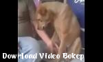 Download bokep indo Anjing ini membutuhkan sy Terbaru