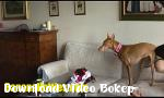 Download video bokep Vendula Remaja untuk casting pertamanya PERNAH den - Download Video Bokep