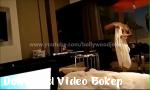 Video bokep Istri India baru menikah desi berani di hotel dan  Gratis - Download Video Bokep