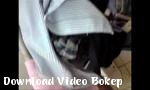 Download video bokep mahasiswa ukm hot