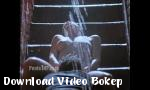 Video bokep online Kim Basinger  9 Setengah Minggu hot di Download Video Bokep