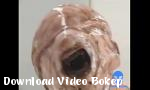 Video bokep Alien fuckn cewek 3gp