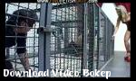 Vidio Bokep Cage Femdom  film penuh - Download Video Bokep