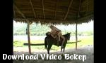 Download video bokep Di peternakan 2018 hot