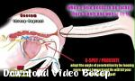 Download video bokep 2017 HYPNO SEKOLAH SISI Mp4 gratis