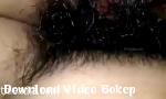 Video bokep Mainkan aku Hoa penuh hot di Download Video Bokep