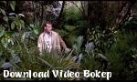 Download video bokep Stripes 1981 di Download Video Bokep