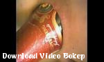 Indo bokep Botol Sampanye di Asshole of Girl Gratis - Download Video Bokep