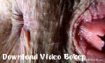 Vidio porno BrookOpeneShowMe1440 - Download Video Bokep