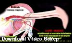 Video bokep online anatomi waria terbaru di Download Video Bokep