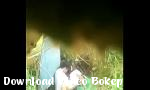 Nonton Vidio xxx ABG mesum di pinggir rumah Gratis - Download Video Bokep