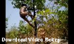 Nonton bokep online Anak Desa Nude Safar Di Forest Play With Tree  039 - Download Video Bokep