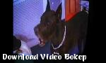 Video bokep POCKETKNIFE DALAM DAGING BAGIAN 1 gratis di Download Video Bokep