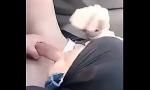 Video Bokep Online Arab hijab girl sucking cock in the car gratis