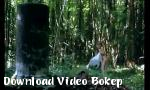 Video bokep indo binatang Terbaru