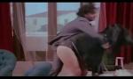 Download Bokep Bolly actress very hot upskirt panty show from old online