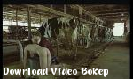 Download video bokep adegan terbaik Indonesia