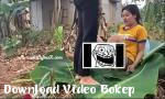 Nonton video bokep Pimpin istrinya ke semak pisang di luar kebun hot 2018