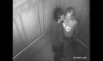 Nonton Video Bokep Couple have sex in elevator ot there is a camera online