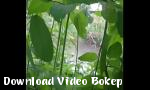 Video bokep Mandi luar ruangan bibi Tamil 2K Gratis - Download Video Bokep