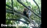 Download video bokep Tarzan Di Bola 3gp gratis