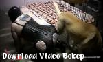 Download bokep indo C8C4AB0 Gratis