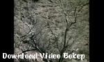 Video bokep Supervixens  lpar 1975  rpar film penuh terbaru di Download Video Bokep