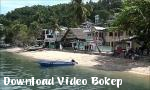 Video bokep Buck Wild Menunjukkan Pantai Sabang Puerto Galera  - Download Video Bokep