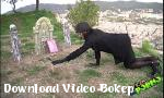 Video bokep The Follamatico Cap13 Bercinta di kuburan 2018 hot