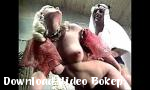 Download XXX Porno CC Horny Harem 2018 - Download Video Bokep