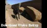 Bokep Diamond Foxxx - Download Video Bokep