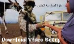Vidio Bokep HD TOUR OF BOOTY  Tentara Amerika Menggunakan Kambing online