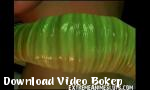 Download video bokep 3D Tentacles Assault