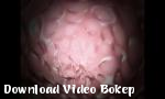 Download video Bokep HD 3D Glamor YUA terbaik