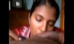 Video Bokep Terbaru mallu aunty given hot blowjob session till cum gratis