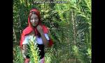 Bokep Sex Little Red ing Hood fucking with Panda in the wood hot