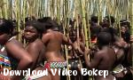 Bokep Seks Royal Zulu Reed Dance HD  Royal Reed Dance Afrika  gratis