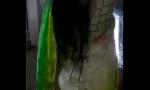 Bokep Video tamil married lady fun with her neighbour Part 3 3gp online