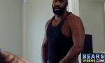 Download video Bokep HD Big dicked black bear hammers blindfolded cub from gratis