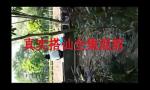 Download Vidio Bokep 中国原创搭讪视频全集QQ703321516 chinese  terbaru