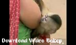 Download Vidio Bokep TOP JABATICO N  ordm 2 PORN HUMOR hot