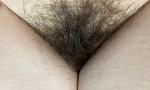 Nonton Film Bokep extreme close up on my hairy sy huge h 4k HD eo ha terbaik