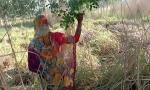 Download video Bokep गेहूं के खेत मे सास