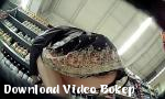 Download Vidio Bokep upskirt bibir cangkang 3gp online