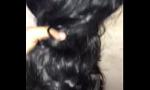 Video Bokep Hairjob black 01 gratis