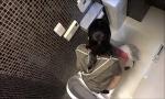 Video Bokep Terbaru asian girl peeing toilet voyeur 3gp online